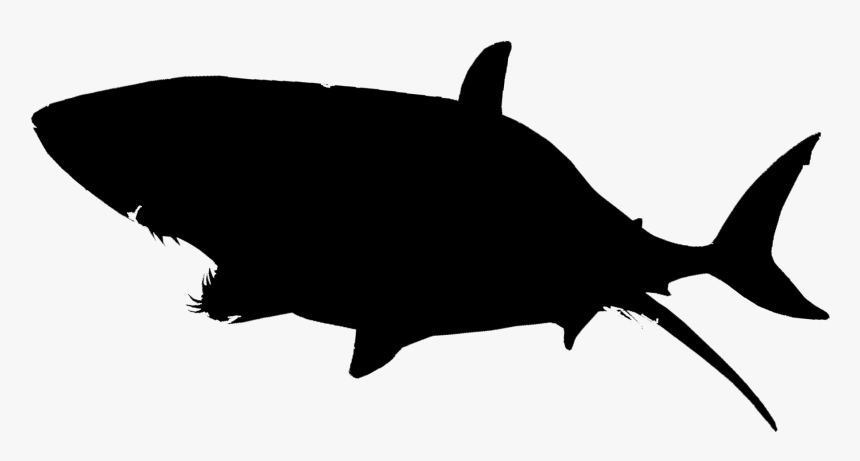 Transparent Shark Silhouette Png - Transparent Background Shark Png, Png Download, Free Download