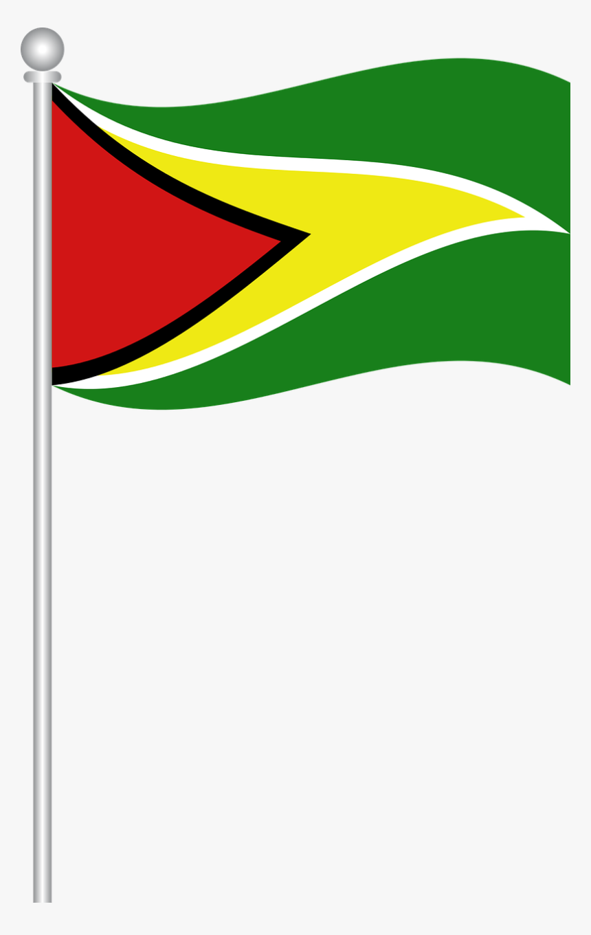 Guyana Flag Guyana flag, British guiana, Guyana