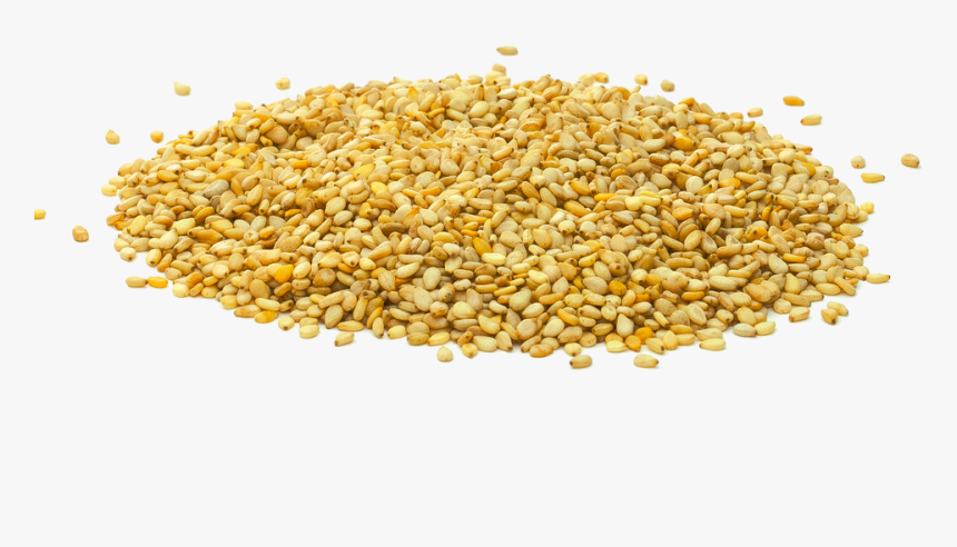 Sesame Seeds Transparent - Sesame Seeds Png, Png Download, Free Download