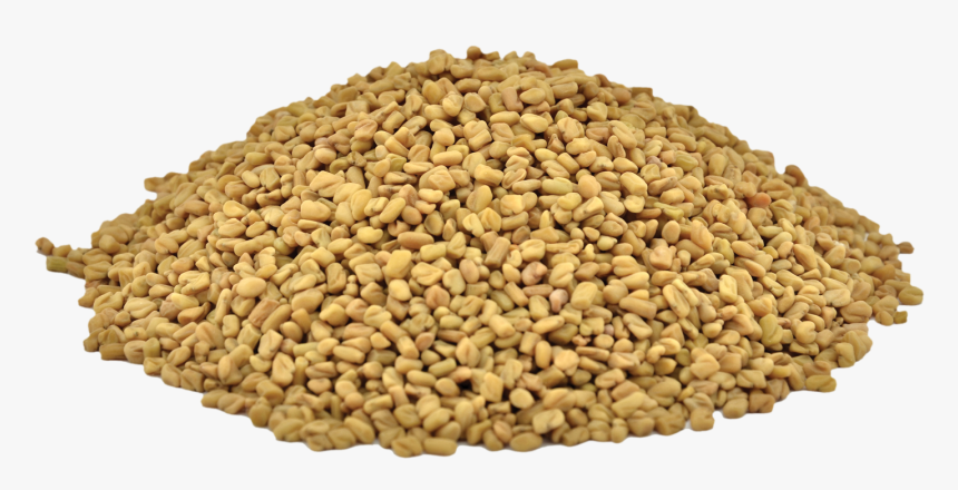 Organic Fenugreek Seeds - Fenugreek Seeds Fenugreek Png, Transparent Png, Free Download