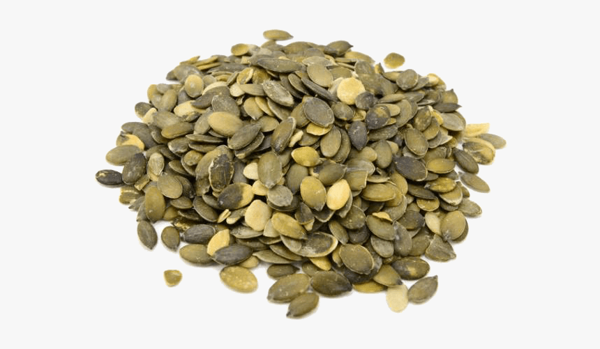 Pumpkin Seeds Nutrition Transparent Background, HD Png Download, Free Download