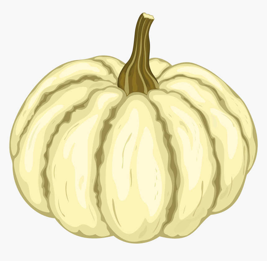 White Pumpkin Png, Transparent Png, Free Download