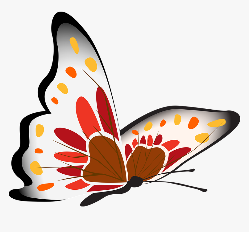 Butterfly White Red - Papillon Clipart, HD Png Download, Free Download