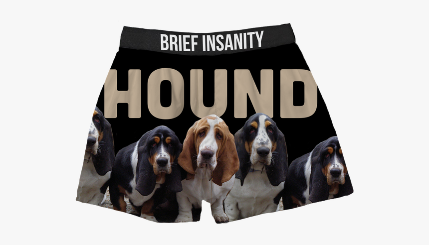 Basset Hound, HD Png Download, Free Download