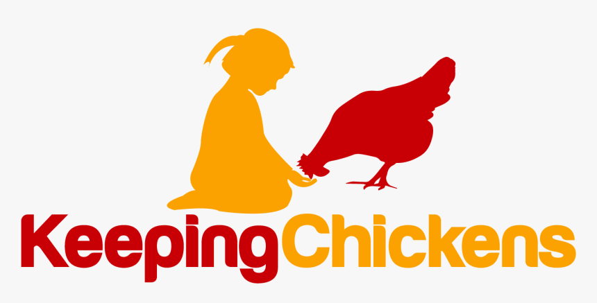 Raising And Keeping Chickens - Chicken, HD Png Download, Free Download