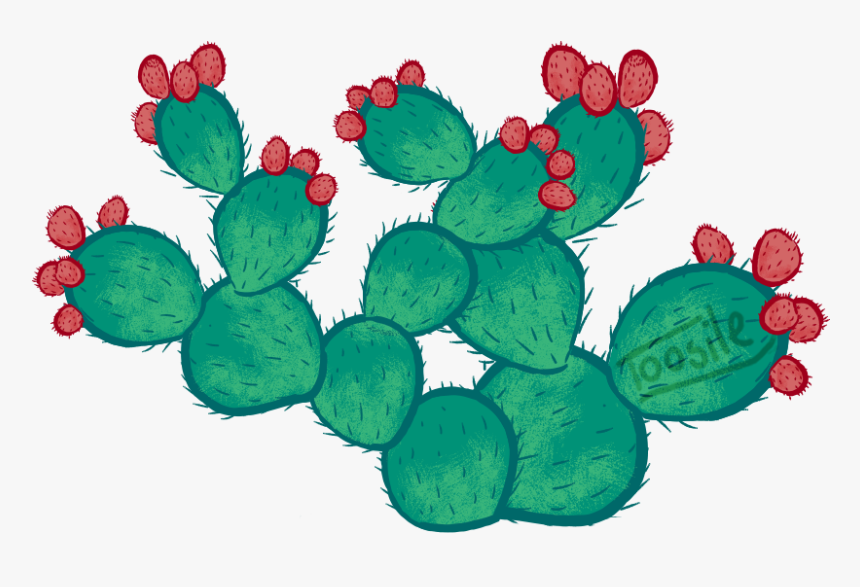 Yutsil S Nchez Graphic - Nopal Png, Transparent Png, Free Download