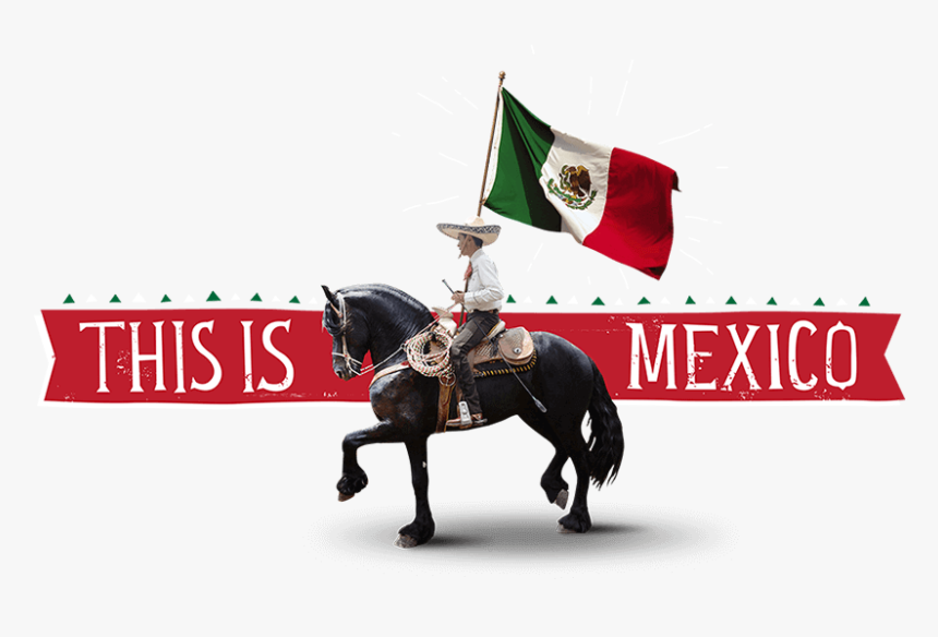 This Is Mexico - Mexico Flag With Horse, HD Png Download, Free Download