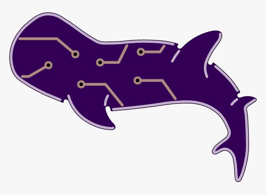 Shark, HD Png Download, Free Download