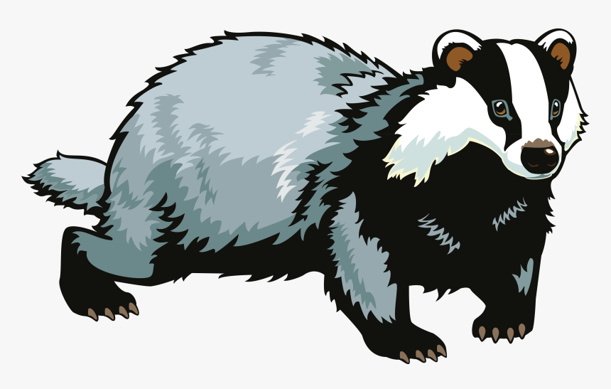 Badger Png - Badger Clipart, Transparent Png, Free Download