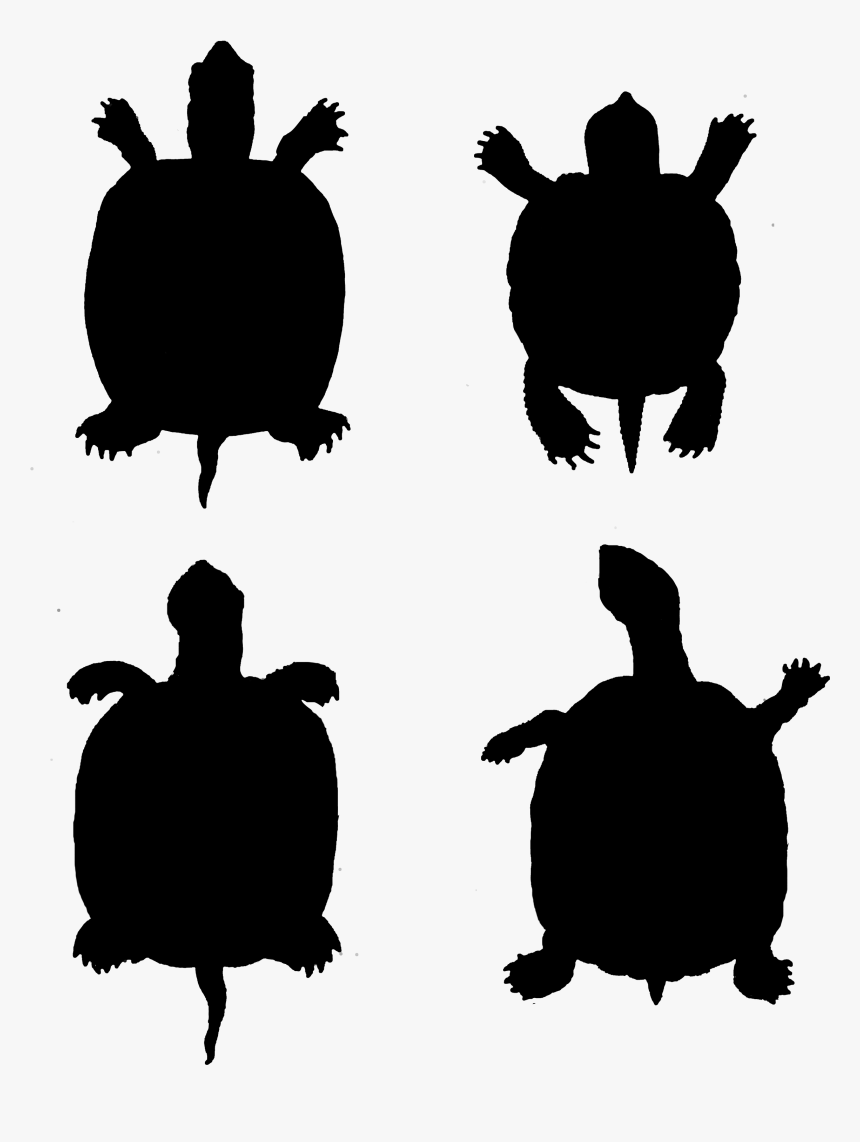 Transparent Turtle Silhouette Png - Silhouette Of Pet Turtle, Png Download, Free Download