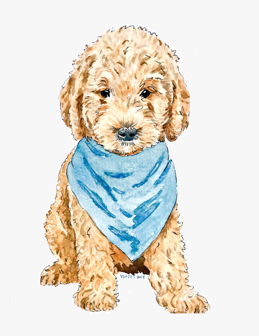 Dog Watercolor - Labradoodle, HD Png Download, Free Download