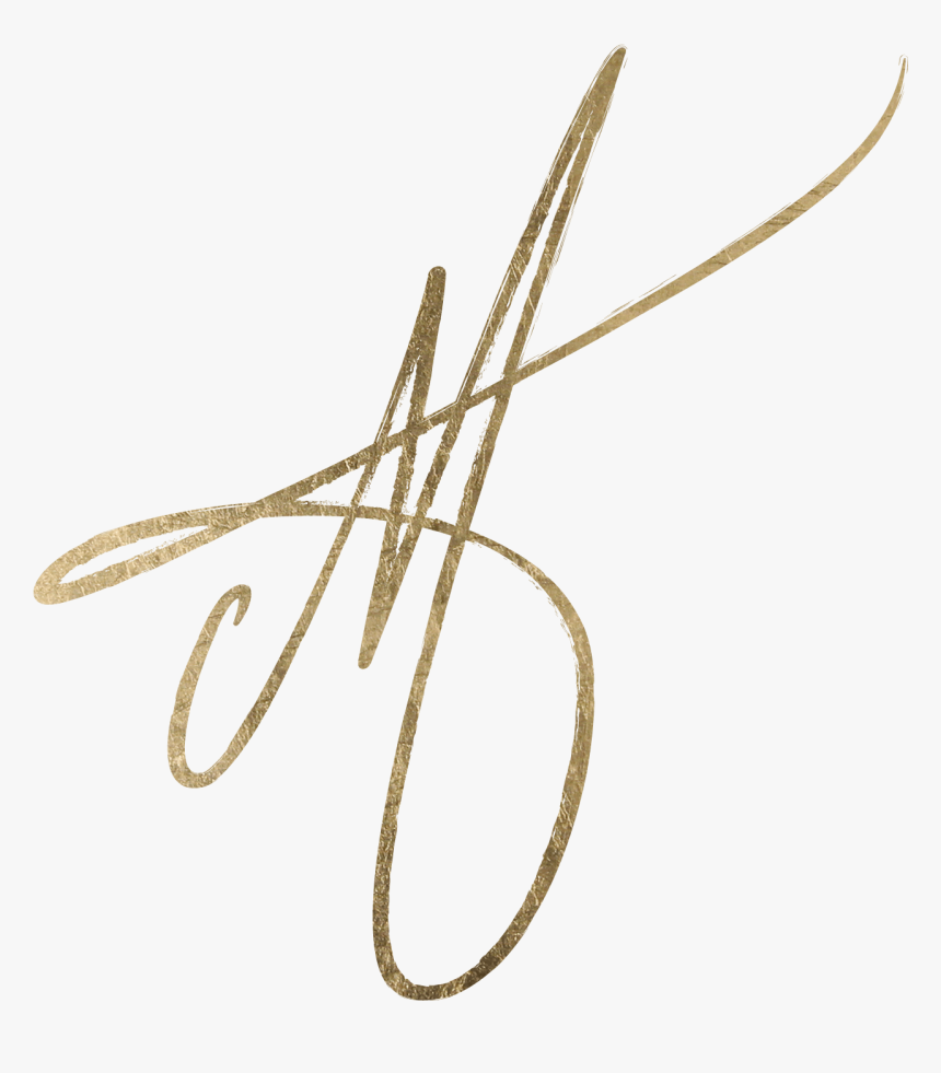 Signature Logo PNG Transparent Images Free Download | Vector Files | Pngtree