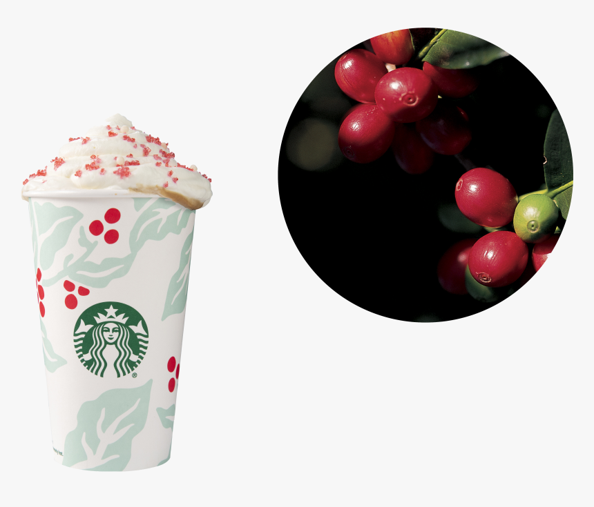 Starbucks Coffee Png, Transparent Png, Free Download