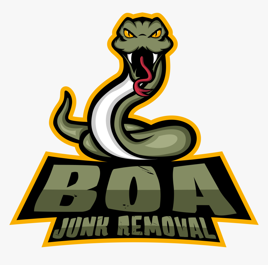 Boa - Illustration, HD Png Download, Free Download