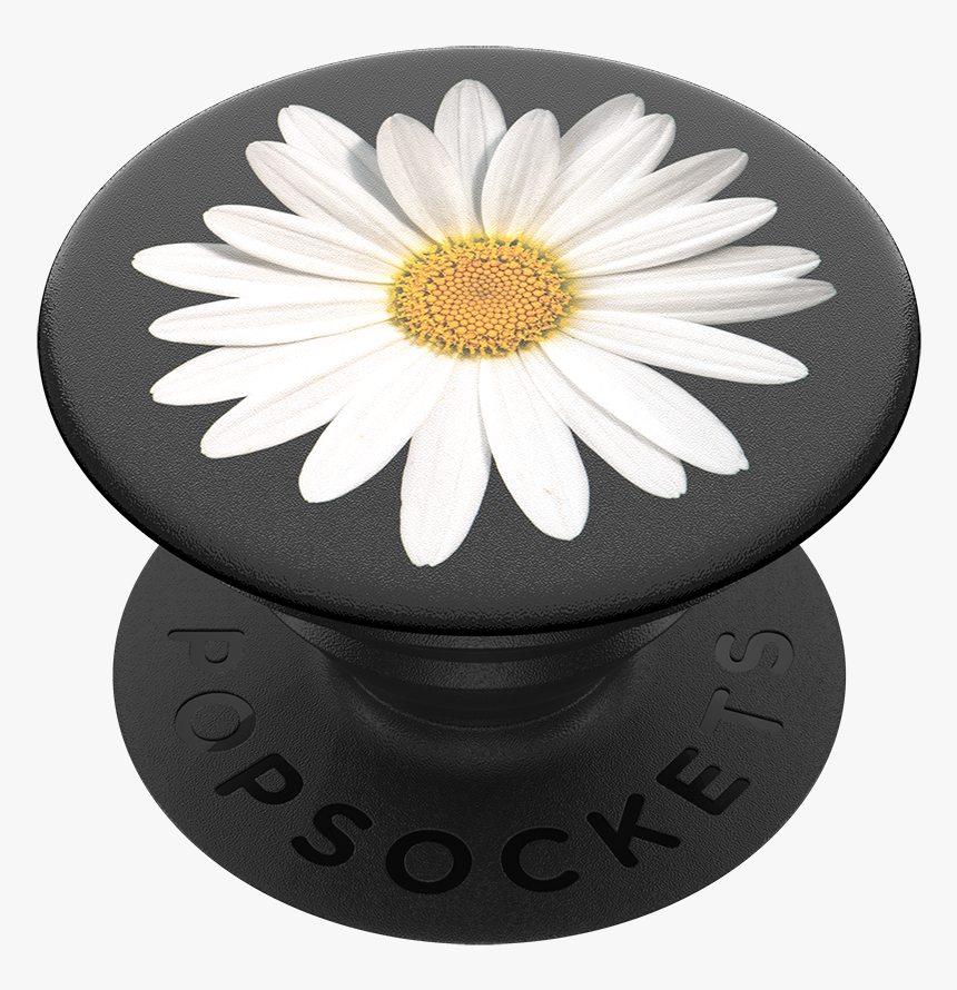 Pop Socket 3d Model Free, HD Png Download, Free Download