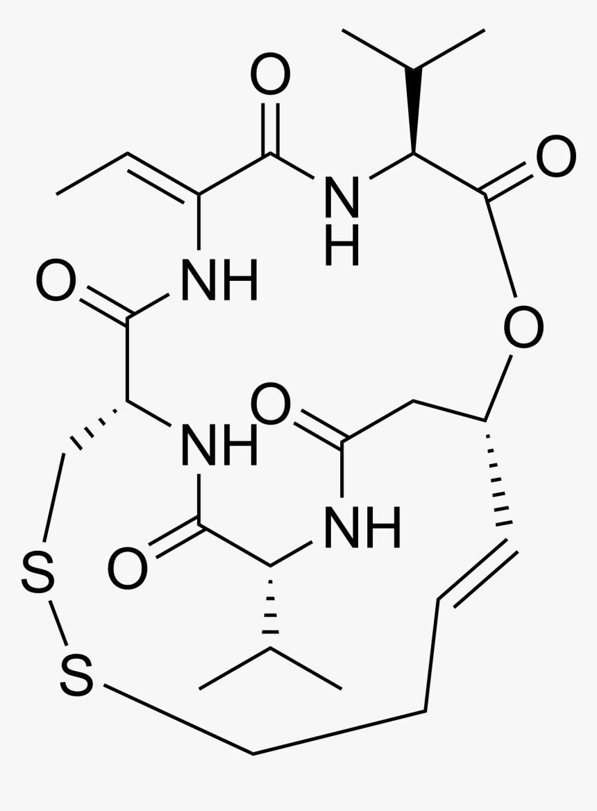 Romidepsin Structure - N Butylbenzamide, HD Png Download, Free Download