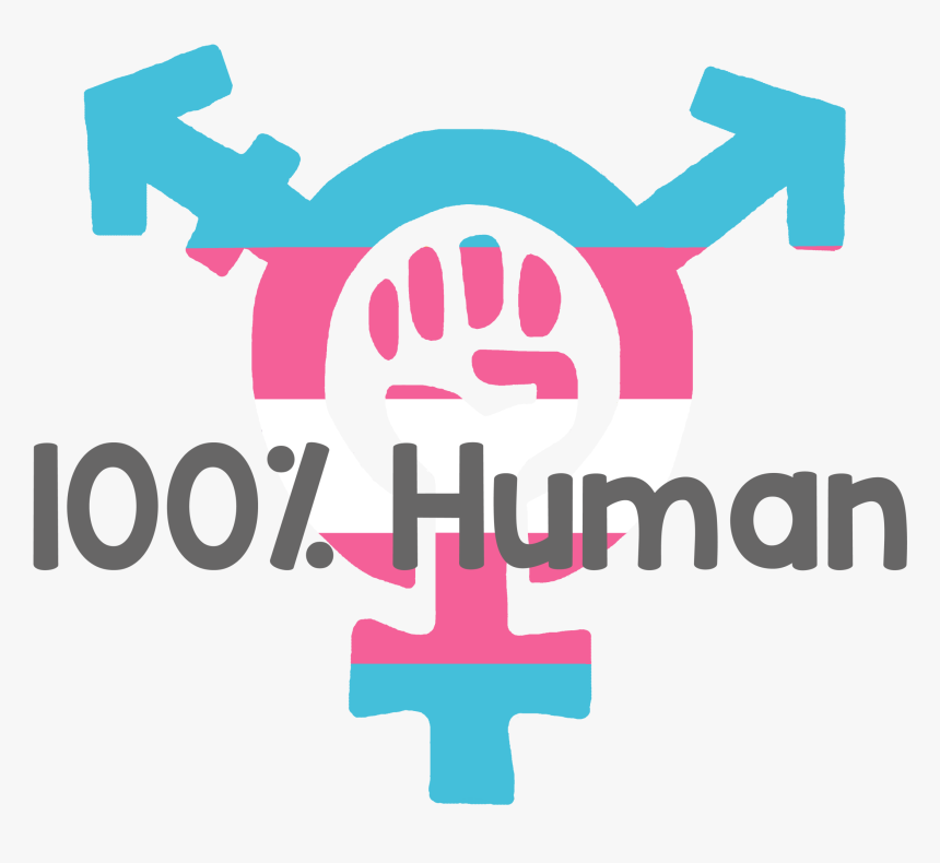 Pin Feminista, HD Png Download, Free Download