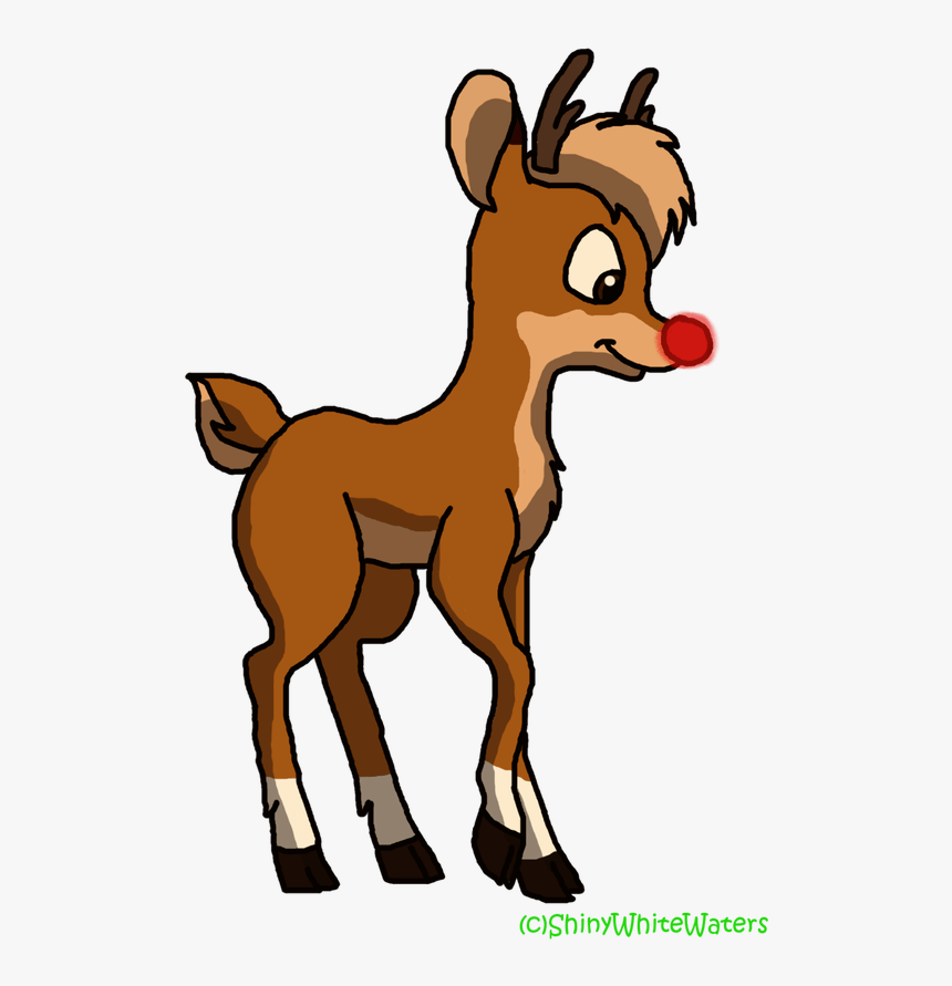 Rudolph Vector Holly - Cartoon, HD Png Download - kindpng