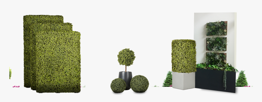 Hedge, HD Png Download, Free Download