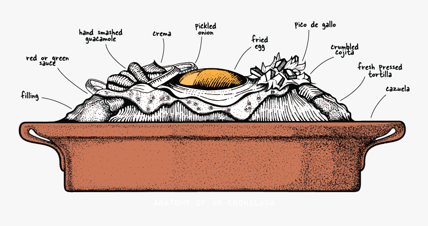 Anatomyart - Anatomy Of An Enchilada, HD Png Download, Free Download