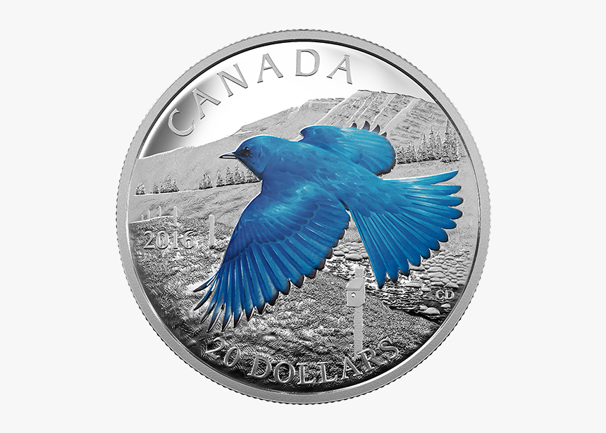 Blue Bird Png, Transparent Png, Free Download