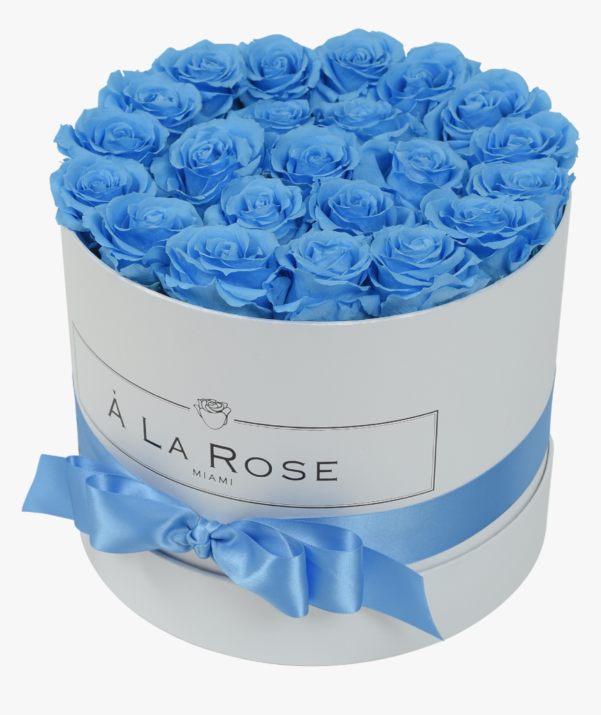 Orbdeluxe- Baby Blue Roses - Blue Rose, HD Png Download, Free Download