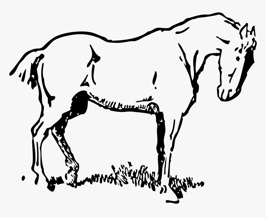 This Free Icons Png Design Of Small-eyed Horse - Small Horse Black And White, Transparent Png, Free Download