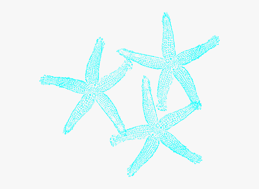 Coral And Turquoise Clip - Blue And Green Starfish Art, HD Png Download, Free Download