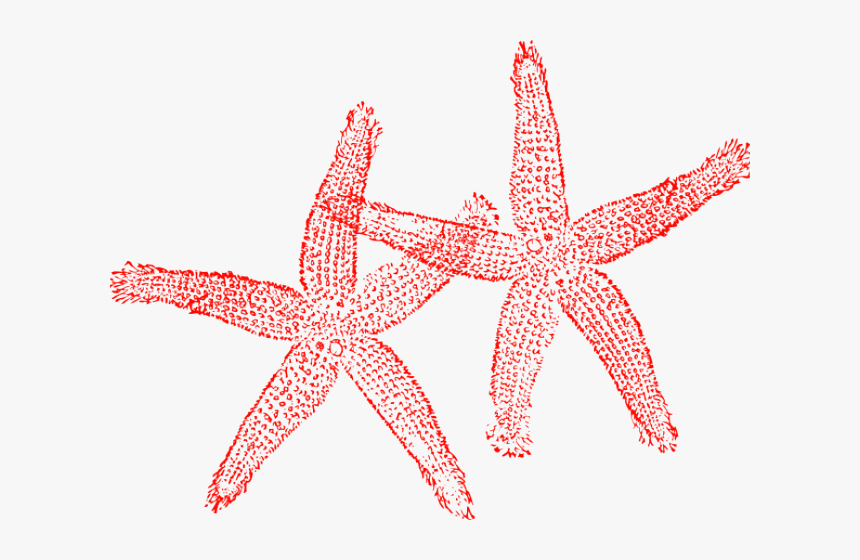 Starfish Clipart Red Starfish - Fish Clip Art, HD Png Download, Free Download