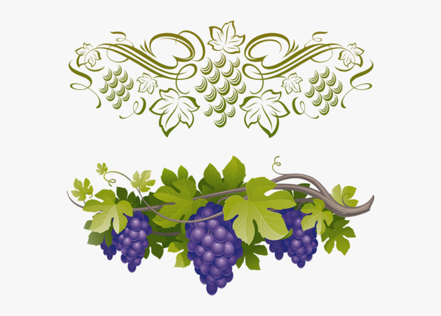 Raisin Png, Tube Fruit, Vendanges - Border Grapes Clipart Png, Transparent Png, Free Download