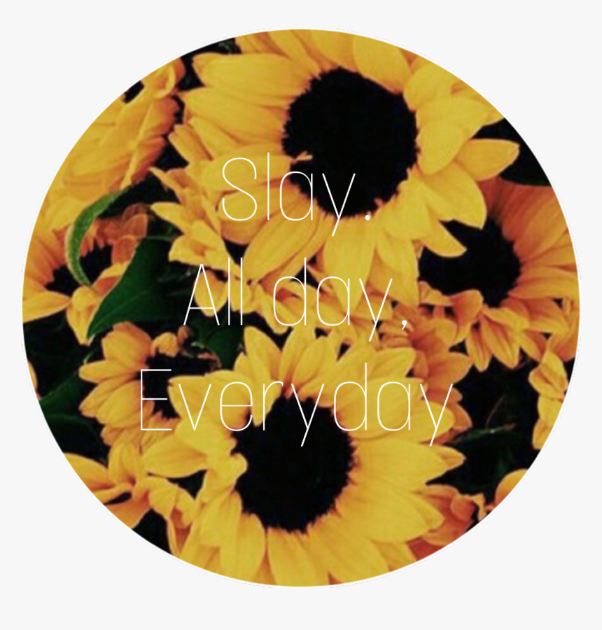 Just Keep Slaying 🌻💕☺️, HD Png Download, Free Download