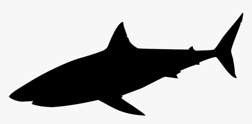 Download Silhouette Requin Png - Silhouette Shark Clipart Black And ...