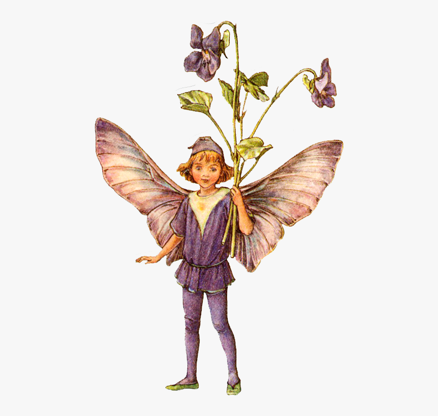 Flower Fairy Cicely Mary Barker, HD Png Download, Free Download