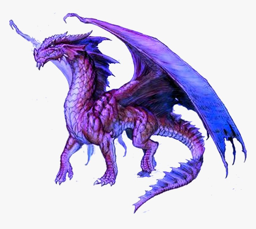 Purple Dragons, HD Png Download, Free Download