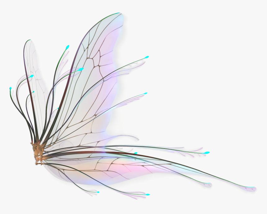 Fairy Wings Overlay Png Transparent Png Kindpng