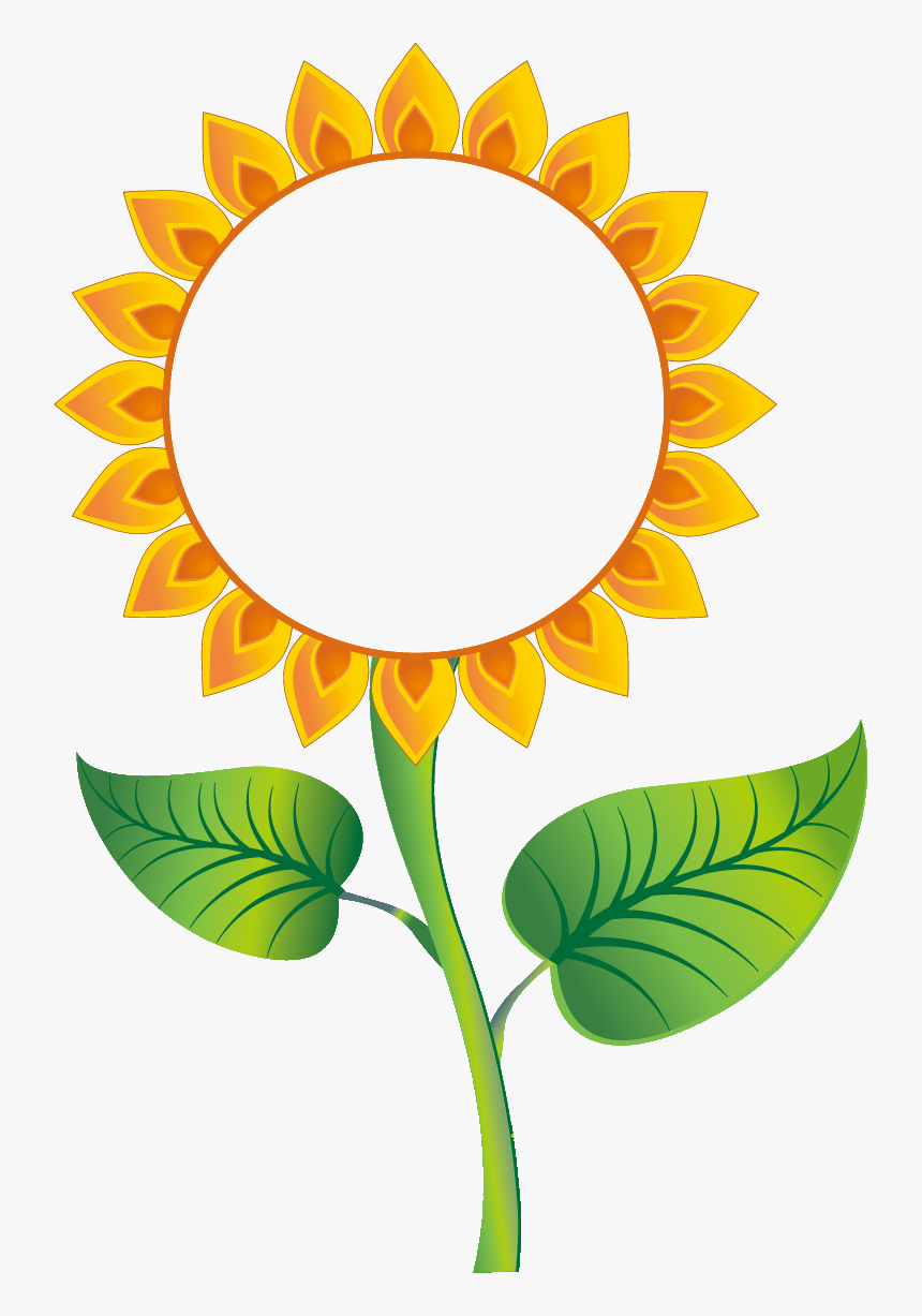 Vector Graphics Common Sunflower Sunflowers Poster - กรอบ รูป ดอก ทานตะวัน, HD Png Download, Free Download