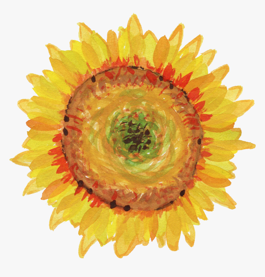 Sunflowers Png Corner - Transparent Watercolor Daisies Png, Png Download, Free Download