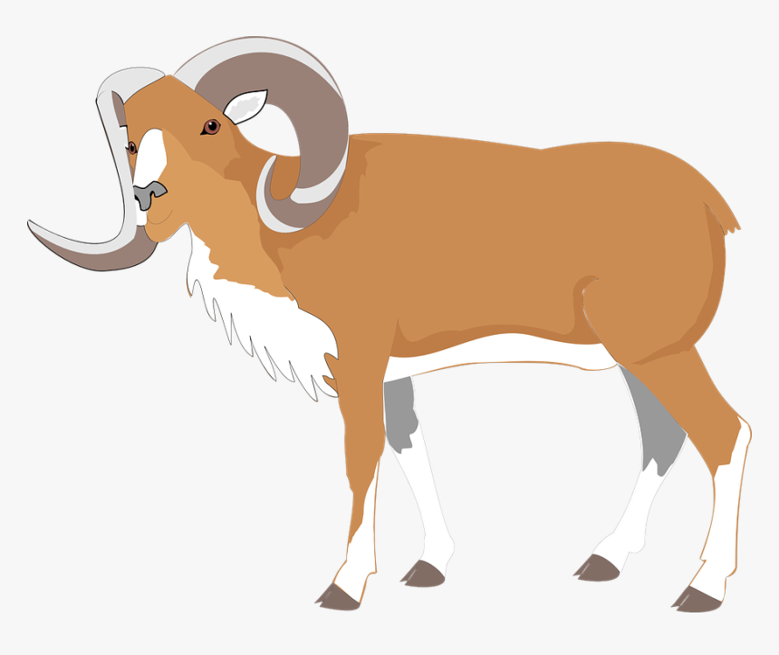 Ram, Goat, Brown, Large, Big, Animal, Horns - Gambar Kambing Animasi Png, Transparent Png, Free Download