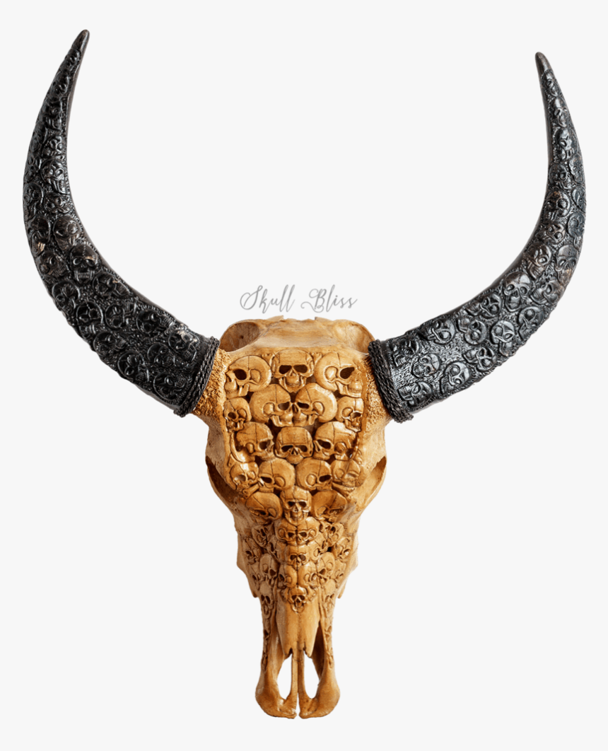 Bull, HD Png Download, Free Download