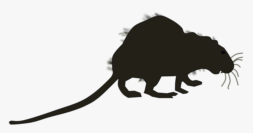 Tail,silhouette,wildlife - Marsupial, HD Png Download, Free Download