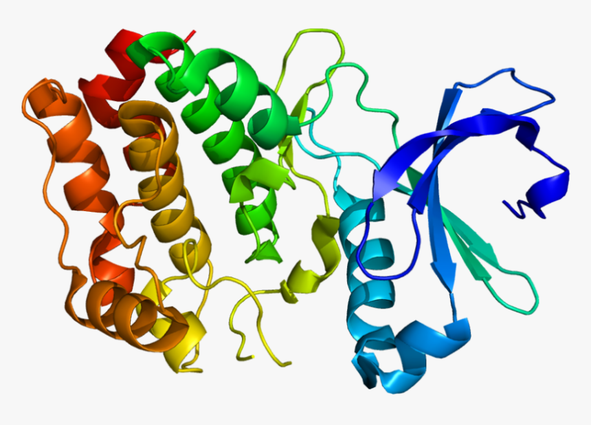 Aurora A Kinase - Kinase Protein Structure, HD Png Download, Free Download