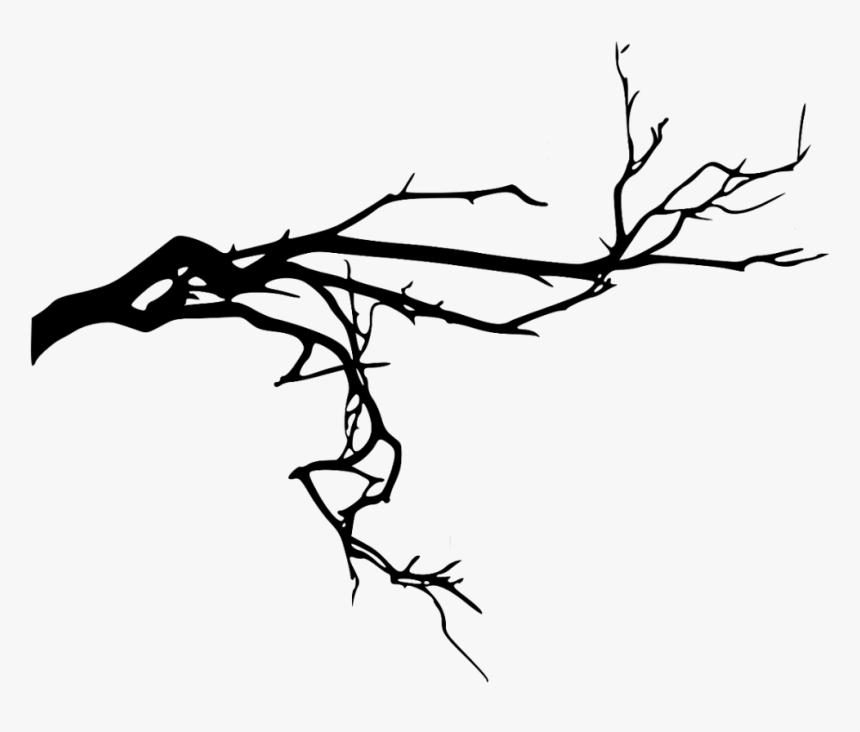 #trees #tree #foliage #shadow #black #nature #plants - Spooky Tree Png, Transparent Png, Free Download