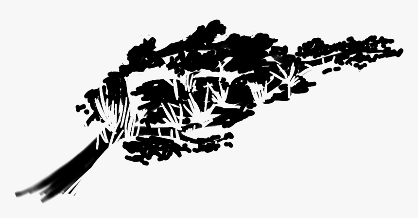 Bg Tree Shadow - Тень От Деревьев Png, Transparent Png, Free Download