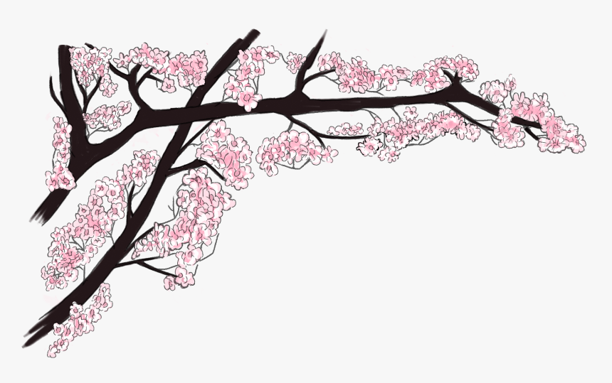 Cherry Blossom, HD Png Download, Free Download