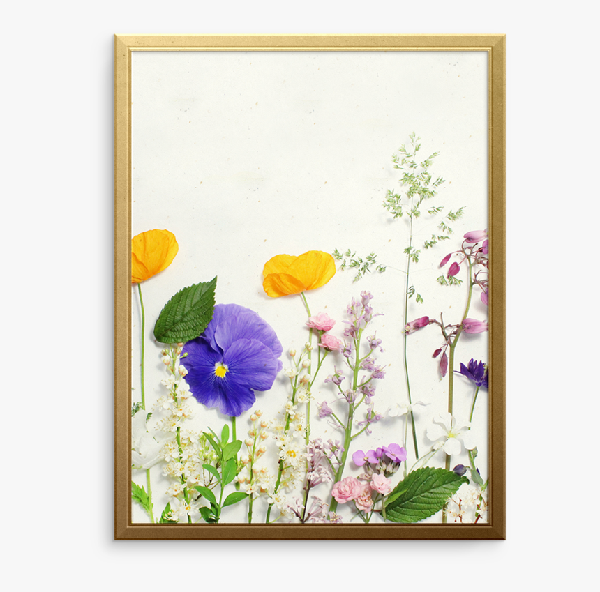 Diary Of Flowers Art Print - Pansy, HD Png Download, Free Download