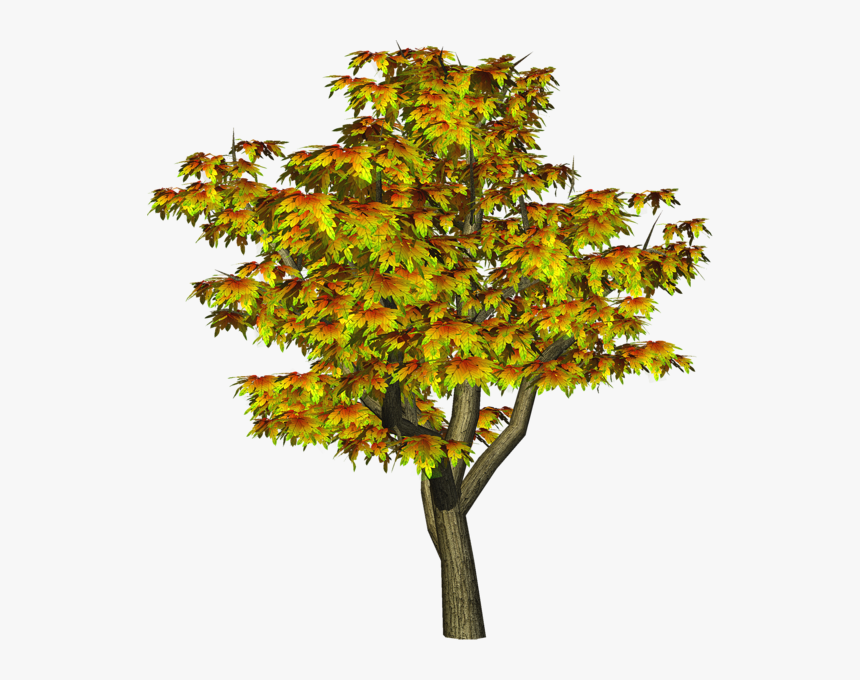 Fall Trees Png - Cb Edit Png All, Transparent Png, Free Download