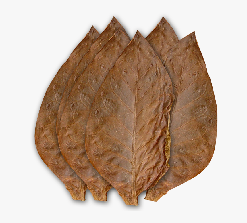 Tabak Liquid Service - Cigar Tobacco Leaf Png, Transparent Png, Free Download