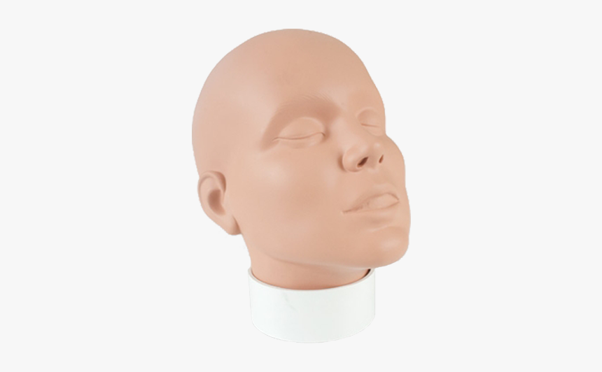 Alt Mehron Practice Head - Bust, HD Png Download, Free Download