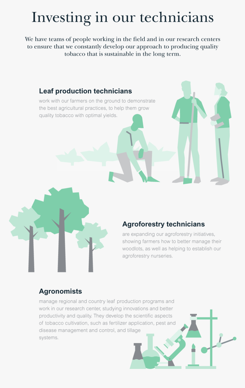 Farmer Support Diagram - Flyer, HD Png Download, Free Download