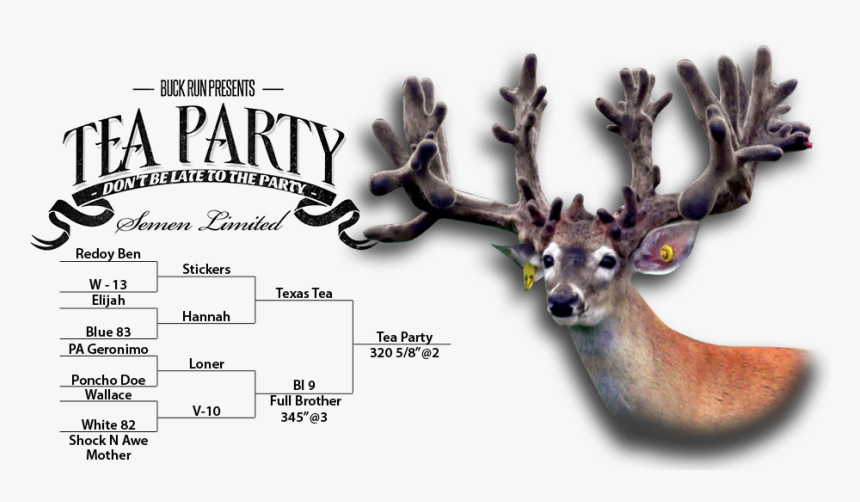 Tea Party Deer - Whitetail Deer Farming, HD Png Download, Free Download